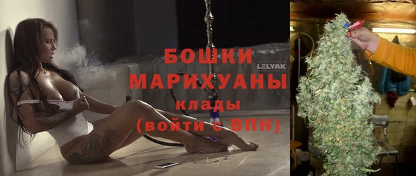mix Богородск