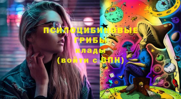 mix Богородск