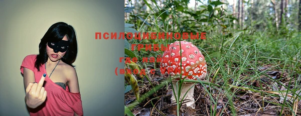 mix Богородск
