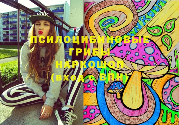 jwh Богородицк