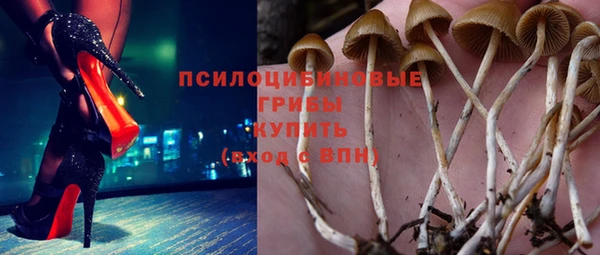 jwh Богородицк